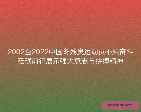 2002至2022中国冬残奥运动员不屈奋斗砥砺前行展示强大意志与拼搏精神
